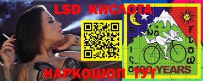 шишки Рыбинск
